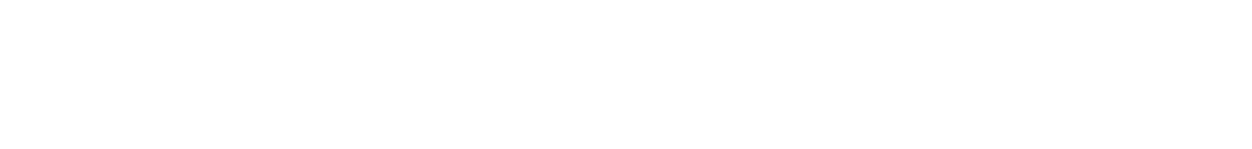 AI OFFICER